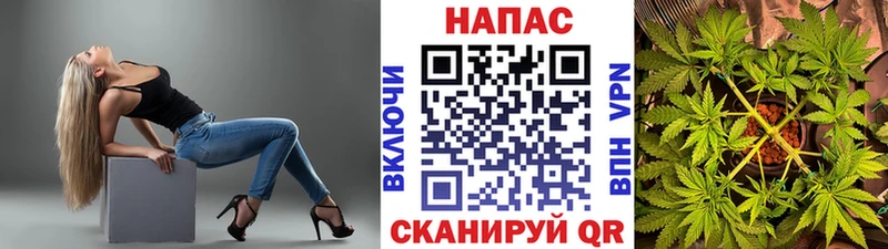 Купить где  Салават  Канабис гибрид